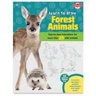 Learn to Draw Forest Animals