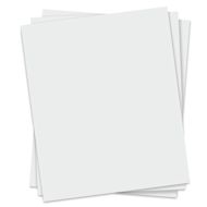 Blick Economy White Posterboard