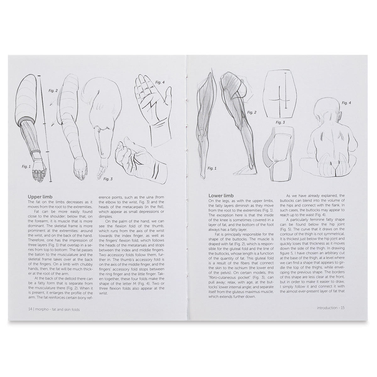 『Fat Cat』 『Anatomy』各４枚セット村上フラワーズサンフランシスコ Fat Cat』 『Anatomy』各4枚セット村上フラワーズサンフランシスコ