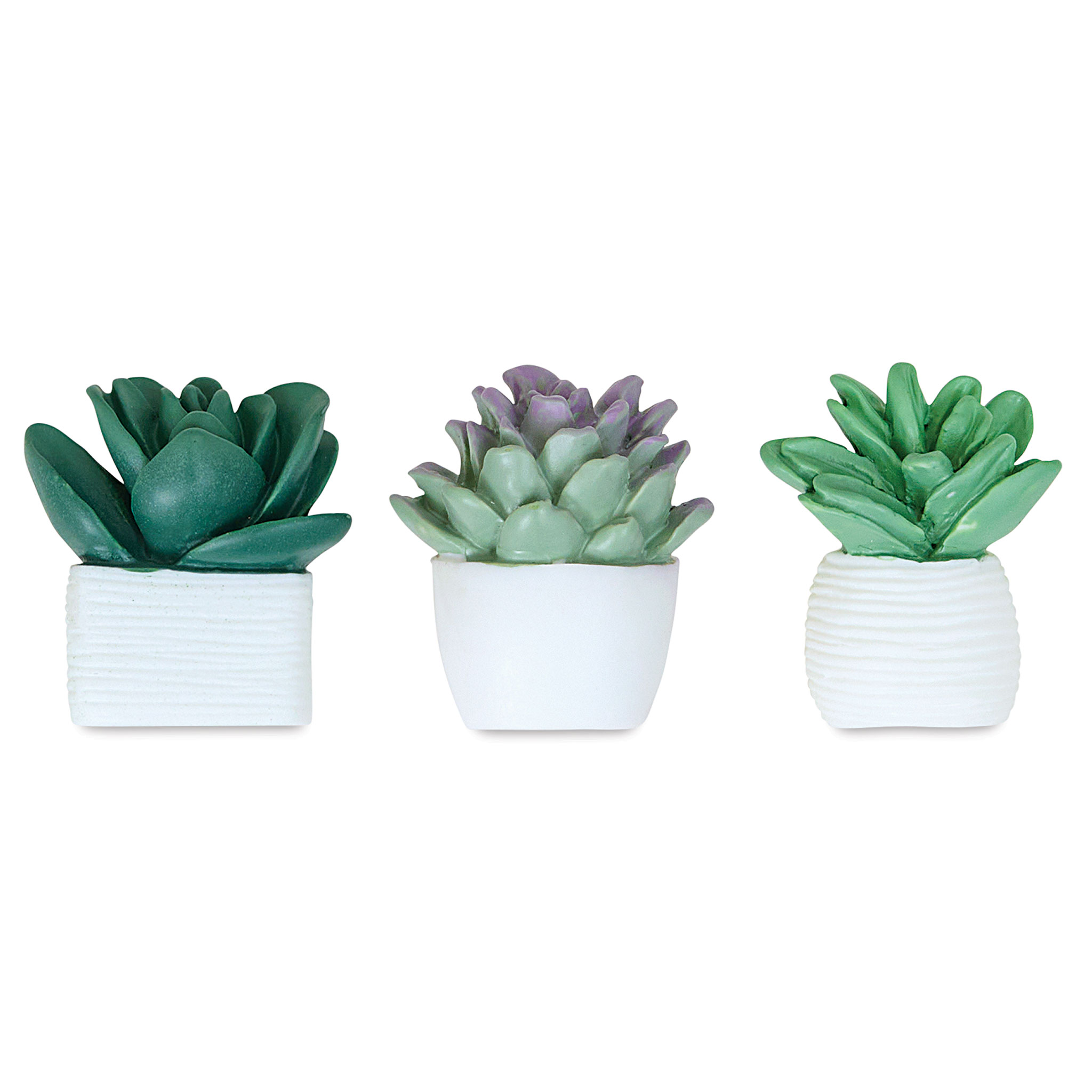 U Brands 6ct Potted Succulent Push Pins : Target