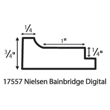 Open in modal - Nielsen Bainbridge Gallery Solutions Digital Format Frames - Diagram showing profile dimensions