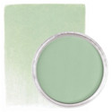 PanPastel Artists Painting Pastel - Chromium Oxide Green Tint, 680.8