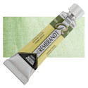 Rembrandt Artist Watercolors - Green Earth, 10 ml tube