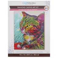 Craft Medley Diamond Painting Canvas Art Kits