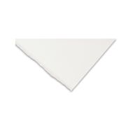 Arches Platine Paper