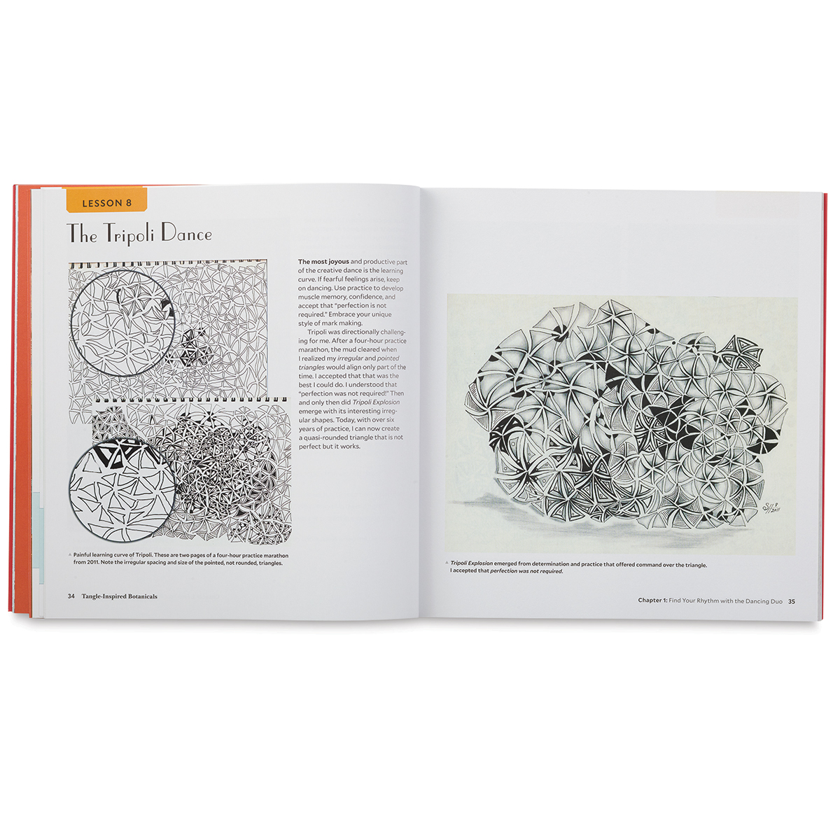 BOTANICAL RINKSページ Bridgestone Columbus Max Fork // Candy Red // Dedacciai Zero