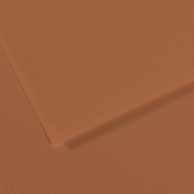 Canson Mi-Teintes Drawing Paper - 19" x 25", Cinnamon, Single Sheet
