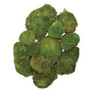 SuperMoss Preserved Topa Moss