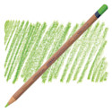 Derwent Lightfast Colored Pencil - Grass Green 70%