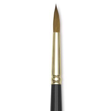 Open in modal - Silver Brush Renaissance Red Sable Brush - Round, Short Handle, Size 10 close up