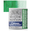 Winsor & Newton Cotman Watercolor Half Pan - Intense Green