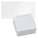 Derwent Inktense Paint Pan - Antique White