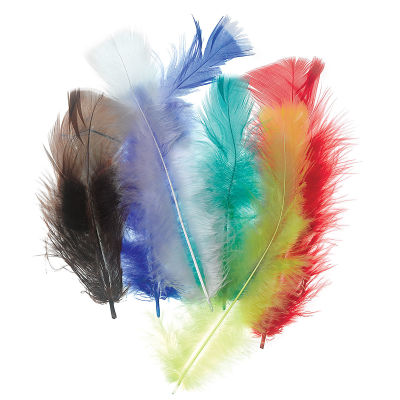 Plumage Feathers - Several brightly Colored Feathers shown