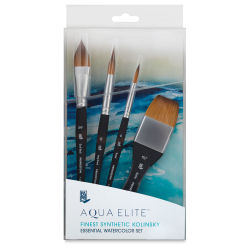 Princeton Aqua Elite Series 4850 Synthetic Brushes - Box Set of 4 (Outside of Packaging)
