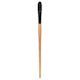 Princeton Catalyst Polytip Bristle Brush - Filbert, Long Handle, Size 10