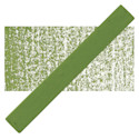 Holbein Artists Oil Pastel - Olive Green 1