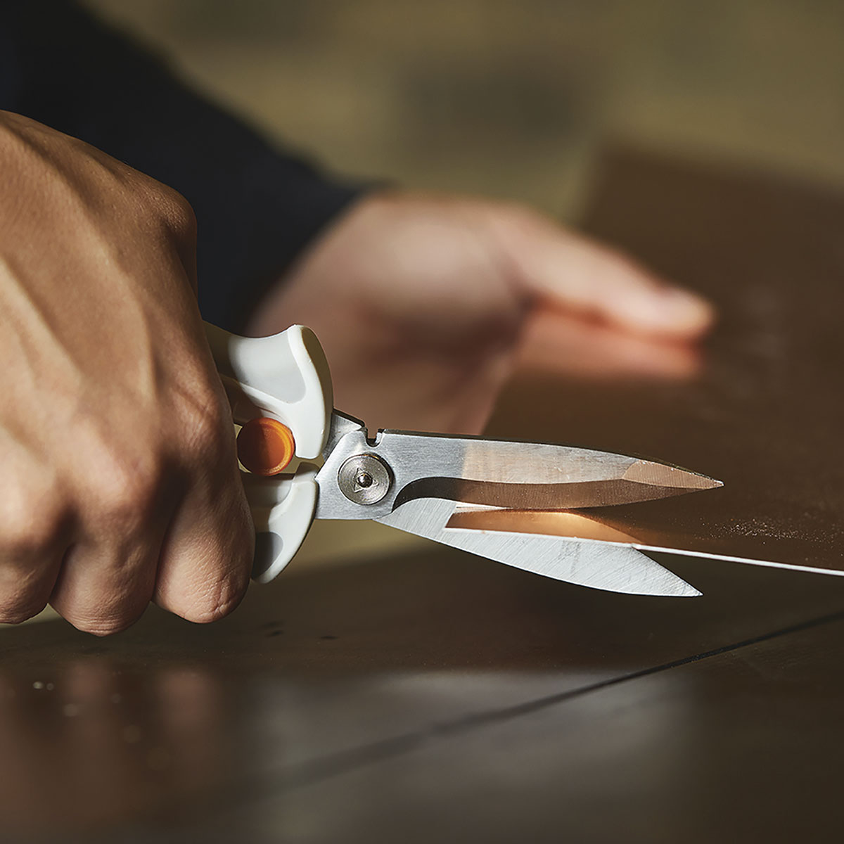 Fiskars PowerCut Easy Action Snips