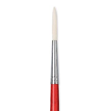Open in modal - Da Vinci Maestro 2 Hog Bristle Brush - Long Round, Long Handle, Size 8 close up