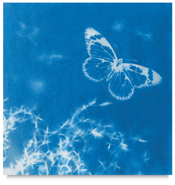 Sunprint Kit - Sun Printing Craft Kit - Cyanotype Paper Nature - Large