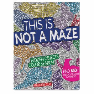 This is Not a Maze: Hidden Objects Color Search