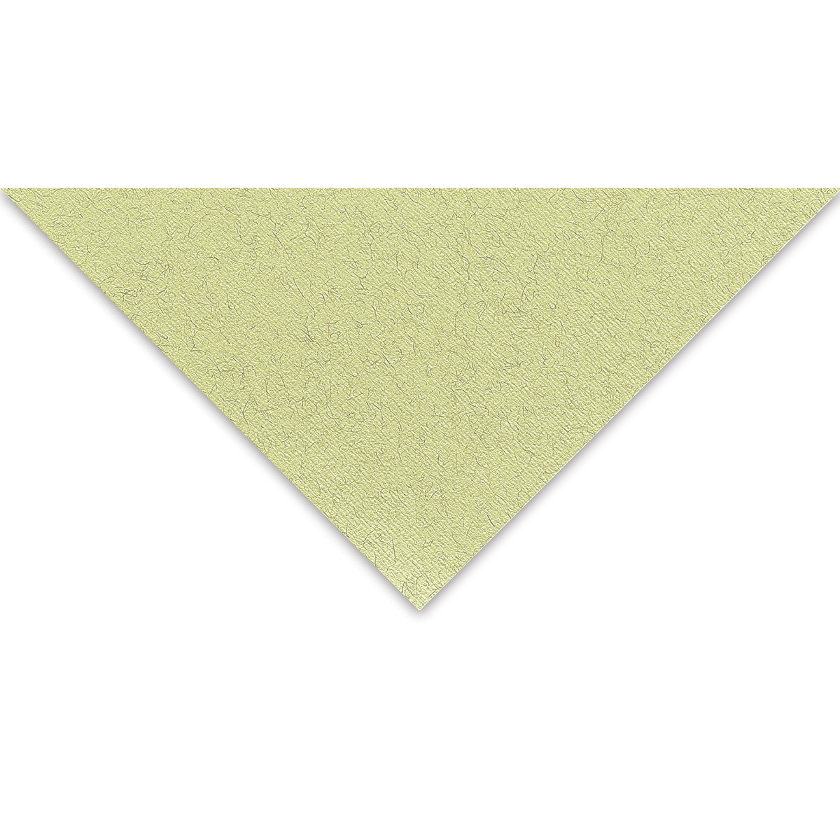 Fabriano Tiziano Drawing Paper 20x26 Moss Green