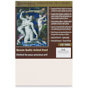 Masterpiece Carmel Hardcore Pro Canvas Panel - 4" x 8"