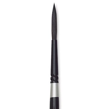 Open in modal - Silver Brush Black Velvet Brush - Script, Size 8 close up