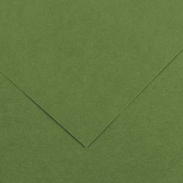 Open in modal - Canson Colorline Art Paper - 19" x 25", 150 gsm, Khaki Green