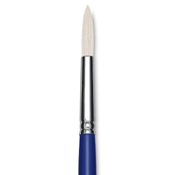 Open in modal - Blick Scholastic White Bristle Brush - Round, Size 12 close up