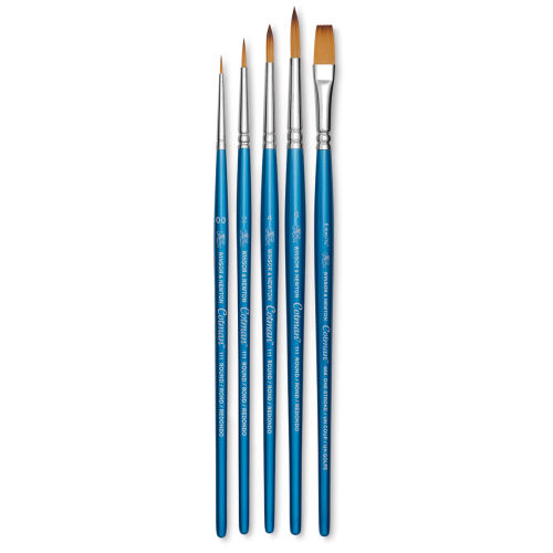 Winsor & Newton Cotman Watercolor Brush Set - Set 4, Set of 5, Short Handle