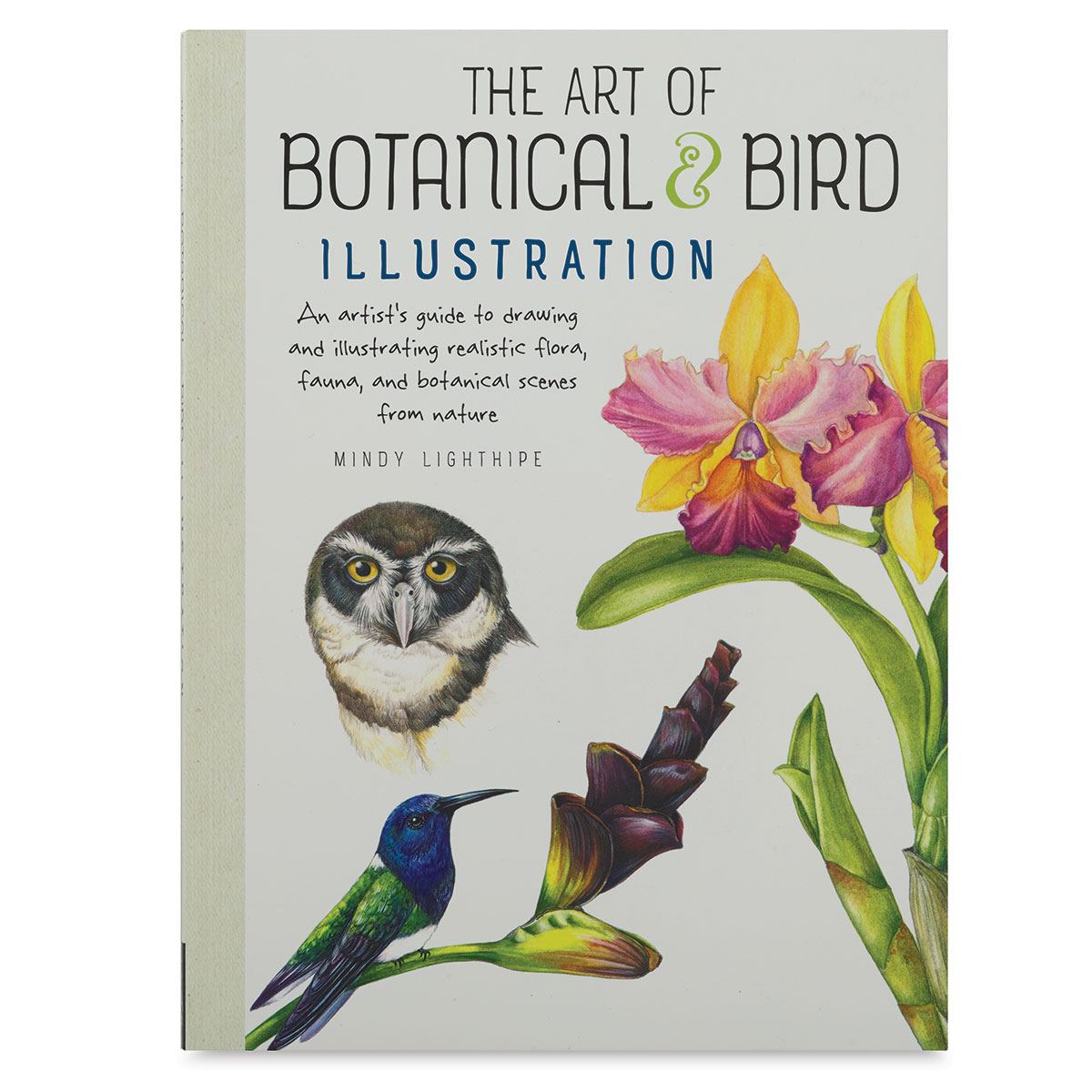 of Botanical Bird Illustration | BLICK Art Materials