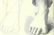 What Is Scale And Proportion In Art 4 Types And Examples 42 OFF