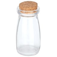 Craft Decor Glass Jars with Cork Lids