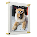 Wexel Art Single Panel Acrylic Display Frame - 14" x 14", Gold Hardware