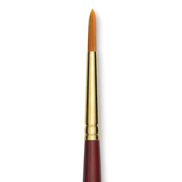 Open in modal - Grumbacher Goldenedge Brush - Round, Short Handle, Size 5 close up
