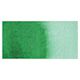 Da Vinci Artists Permanent Watercolor - Hooker's Green Dark swatch