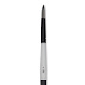 Winsor & Newton Artists Acrylic Brush - Round, Long Handle, Size 8