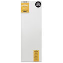 Blick Premier Stretched Cotton Canvas - Gallery Profile, Back-Stapled, 10