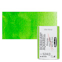 Schmincke Horadam Aquarell Watercolor - May Green, Full Pan