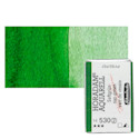 Schmincke Horadam Aquarell Watercolor - Sap Green, Full Pan