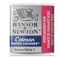 Winsor and Newton Watercolor - Rose