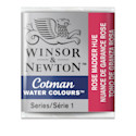 Winsor and Newton Watercolor - Rose