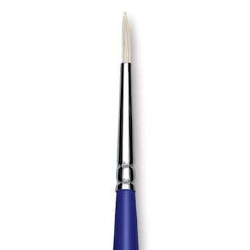 Open in modal - Blick Scholastic White Bristle Brush - Round, Size 2 close up