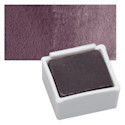 Derwent Graphitint Paint Pan - Juniper