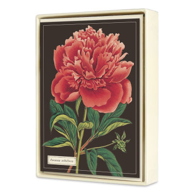 Cavallini Botanical Boxed Note Cards