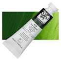 ShinHan Pass Colors Opaque Watercolor Tube - Sap Green, 20 ml