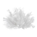 John Bead Marabou Feathers - g, White