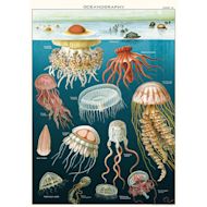 Cavallini Jellyfish Printed Paper