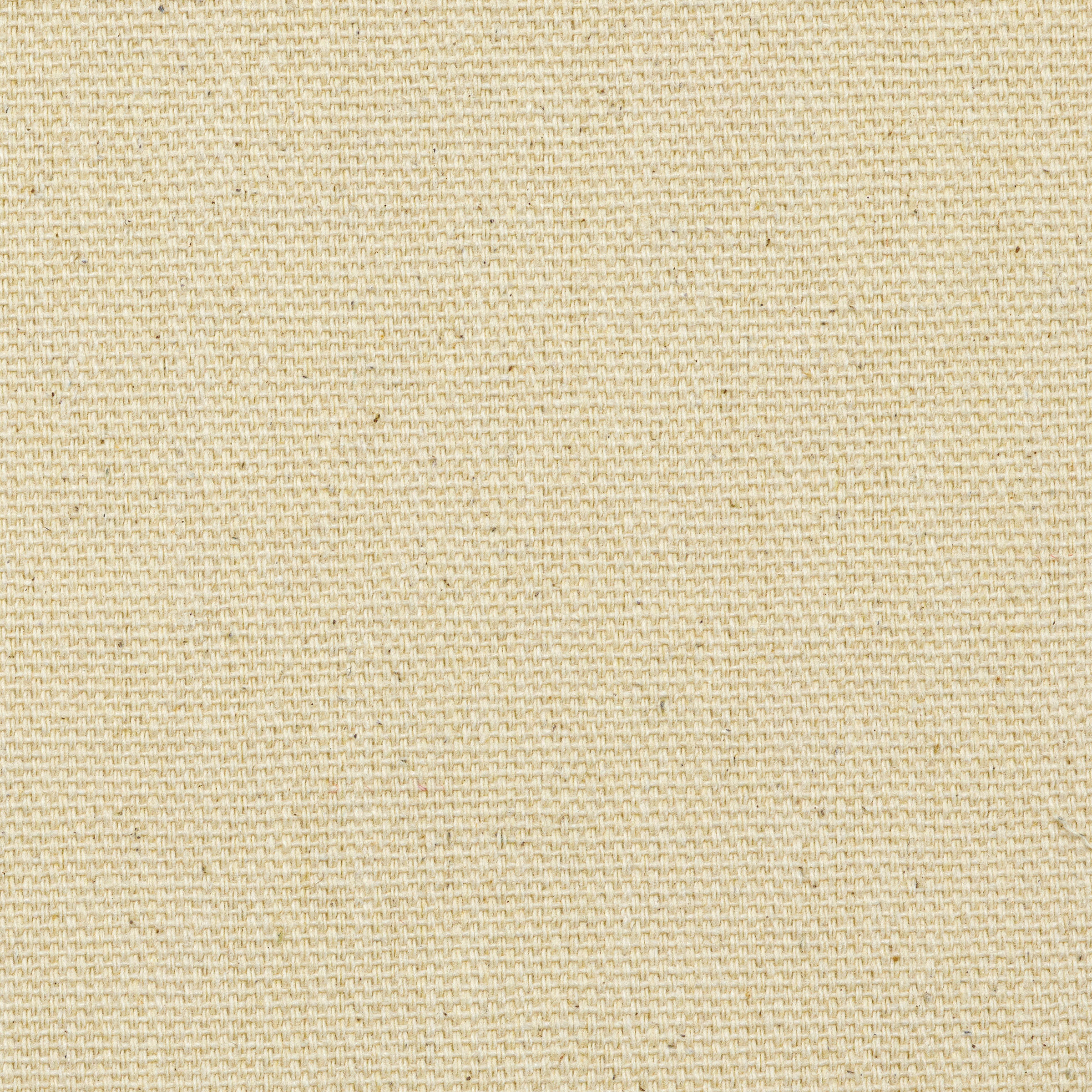 Blick Unprimed Cotton Canvas By The Yard | BLICK Art Materials