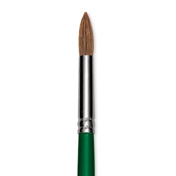 Open in modal - Blick Economy Sable Brush - Round, Long Handle, Size 14 close up